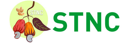 logo stnc